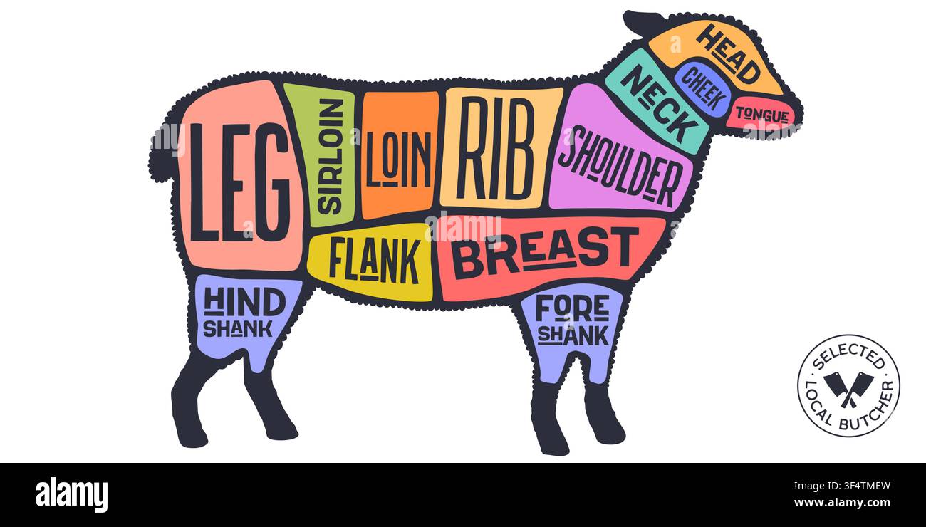 Lamb, sheep, hand-drawn butcher cuts Stock Vector