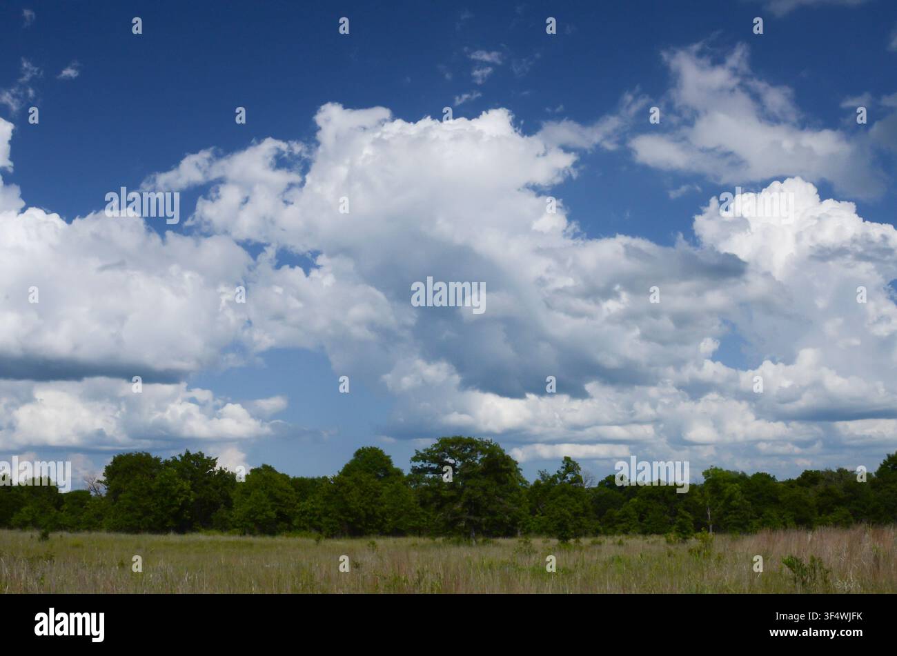 Cumulus Clouds over central Oklahoma cross timbers Stock Photo