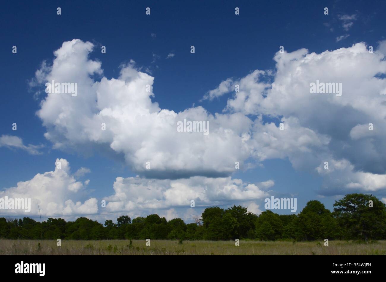 Cumulus Clouds over central Oklahoma cross timbers Stock Photo