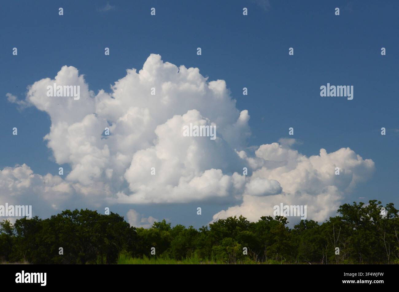 Cumulus Clouds over central Oklahoma cross timbers Stock Photo
