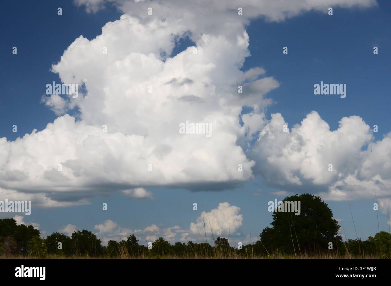 Cumulus Clouds over central Oklahoma cross timbers Stock Photo