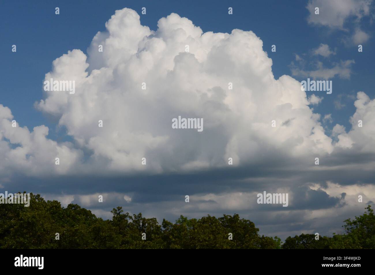 Cumulus Clouds over central Oklahoma cross timbers Stock Photo