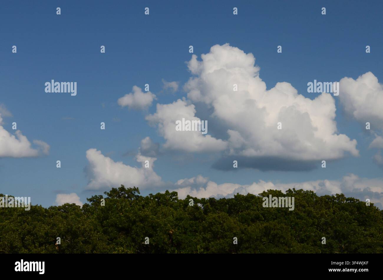 Cumulus Clouds over central Oklahoma cross timbers Stock Photo