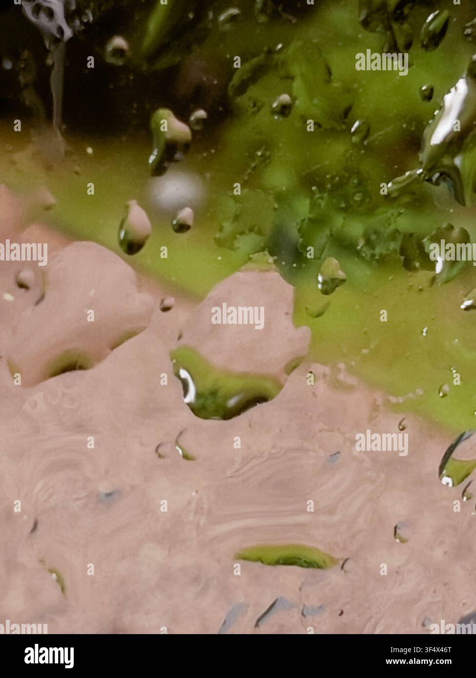 Raindrops on the wet windowpane Stock Photo