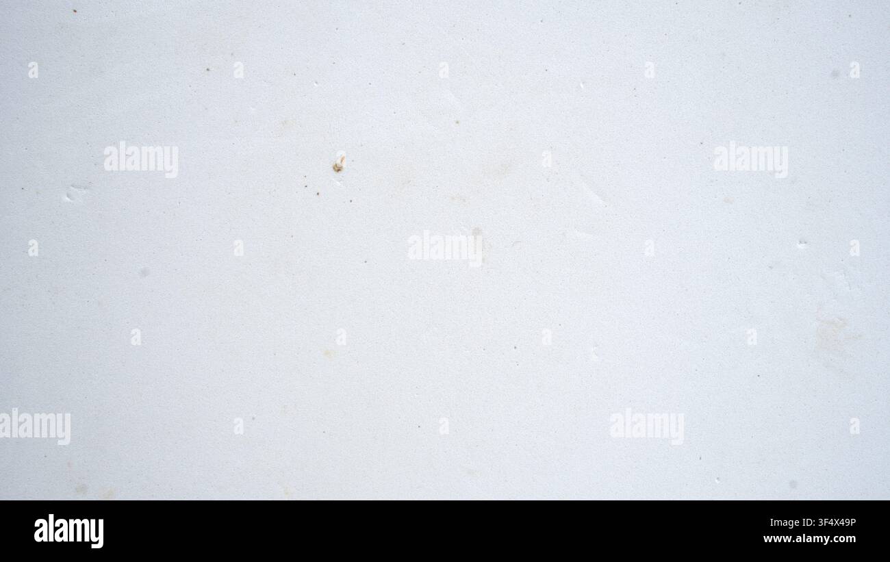 Off White Clean Wall Texture Background Surface Stock Photo