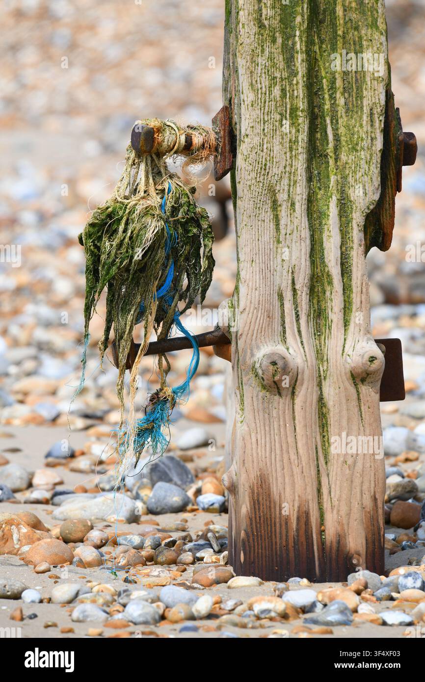 Groyne on the beach Stock Photo