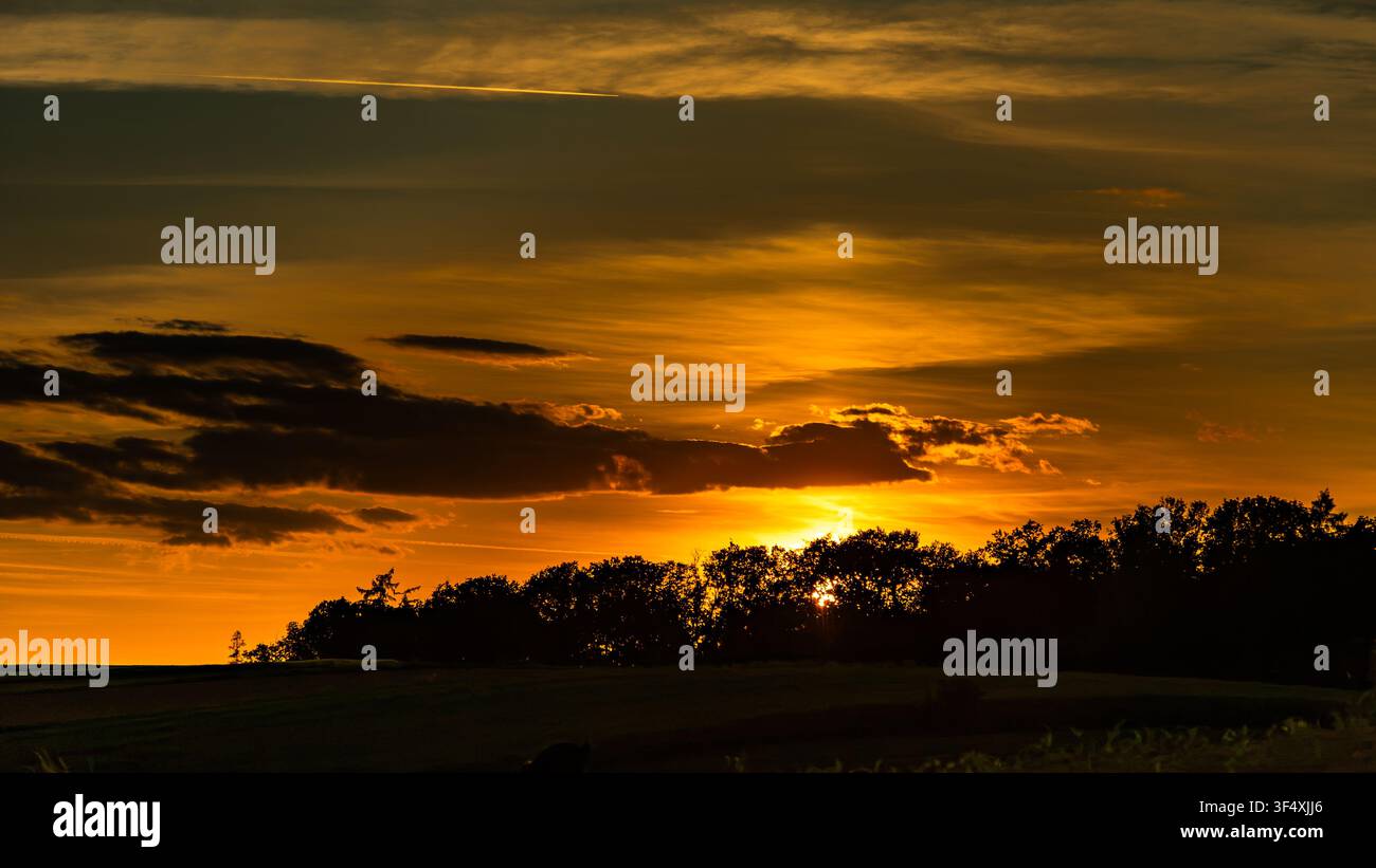 Dramatic golden sunset behind silhouetted trees and clouds Stock Photo