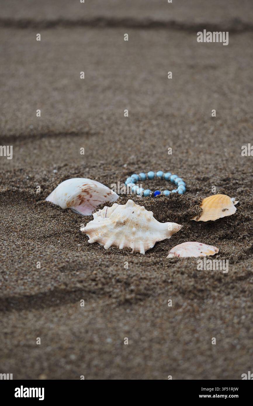 Seashells and beads on the sandy beach Stock Photo