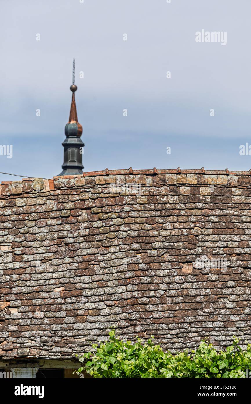 Weathered clay roof tiles cover an old building with lichen and moss, while a historic church spire rises in the soft sky above, evoking tradition, ag Stock Photo