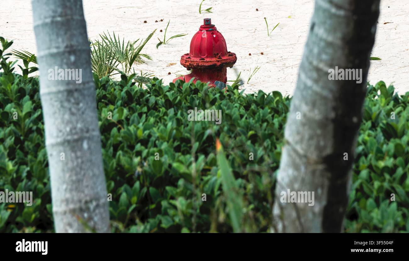 A traditional red, metal fire hydrant situated on a sandy beach, p Stock Photo