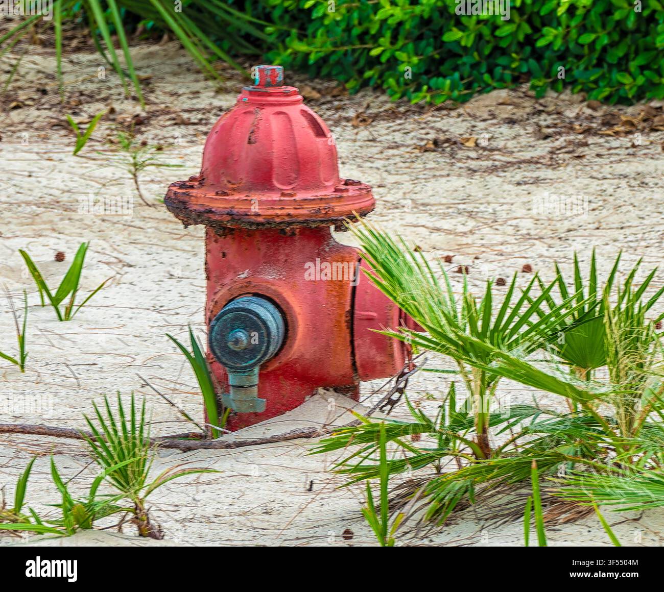 A traditional red, metal fire hydrant situated on a sandy beach, p Stock Photo