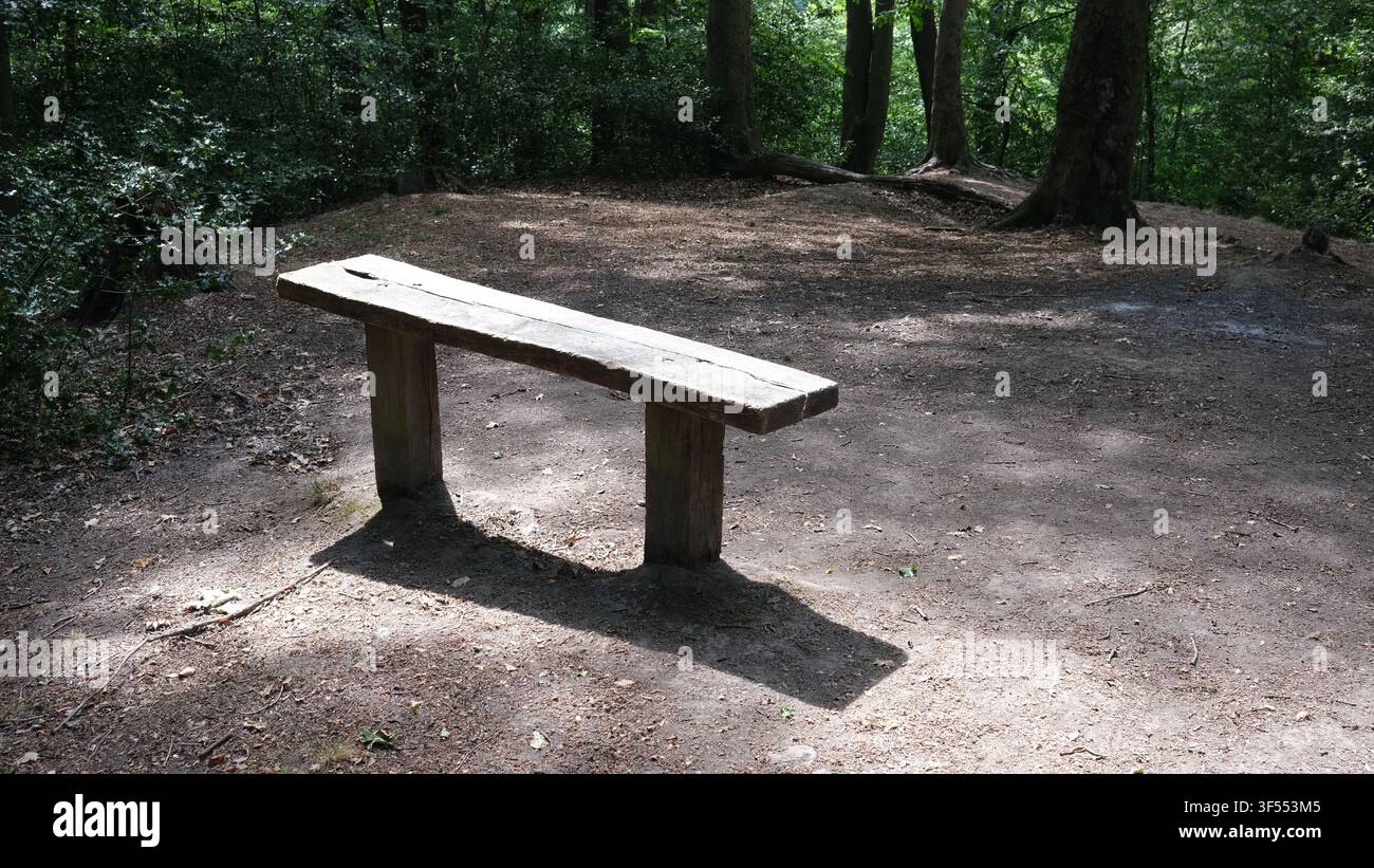 Woodland bench seat Stock Photo