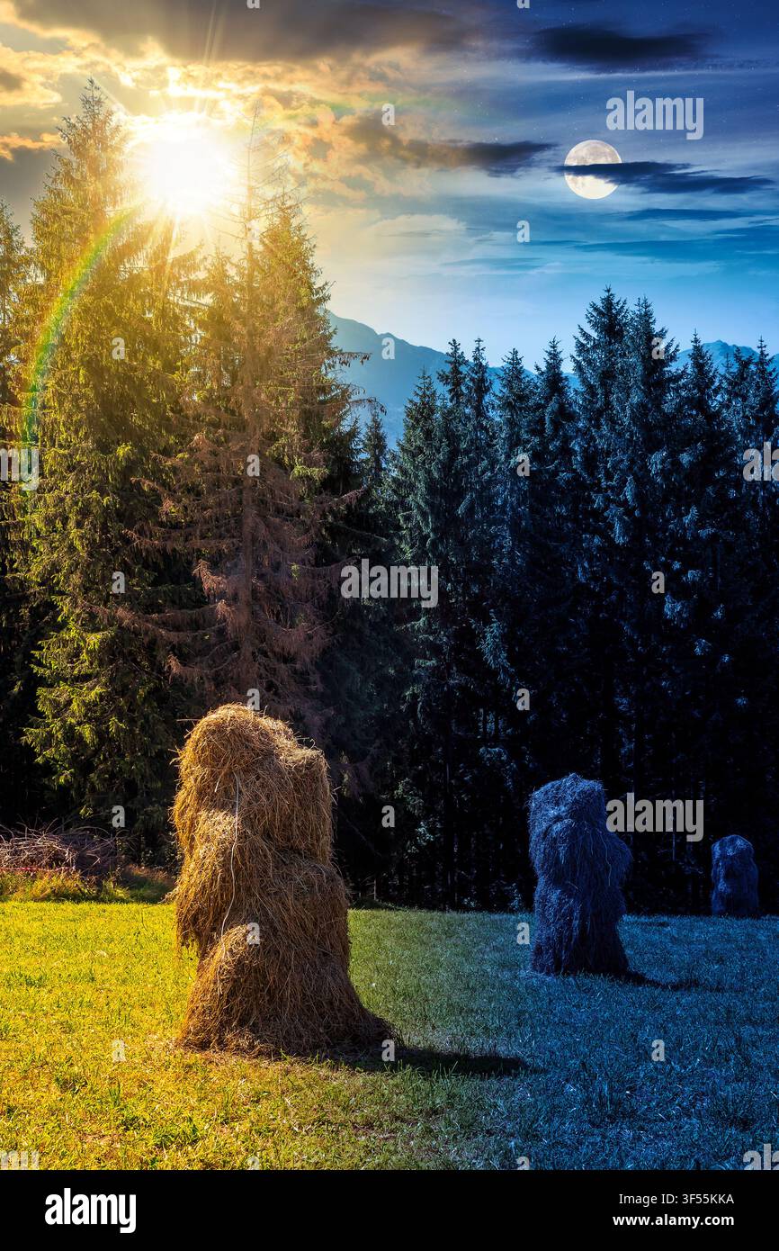rural landscape with coniferous forest on a green hill. day meet night. sun and moon over spruce trees on grassy meadow in tatra mountains at twilight Stock Photo