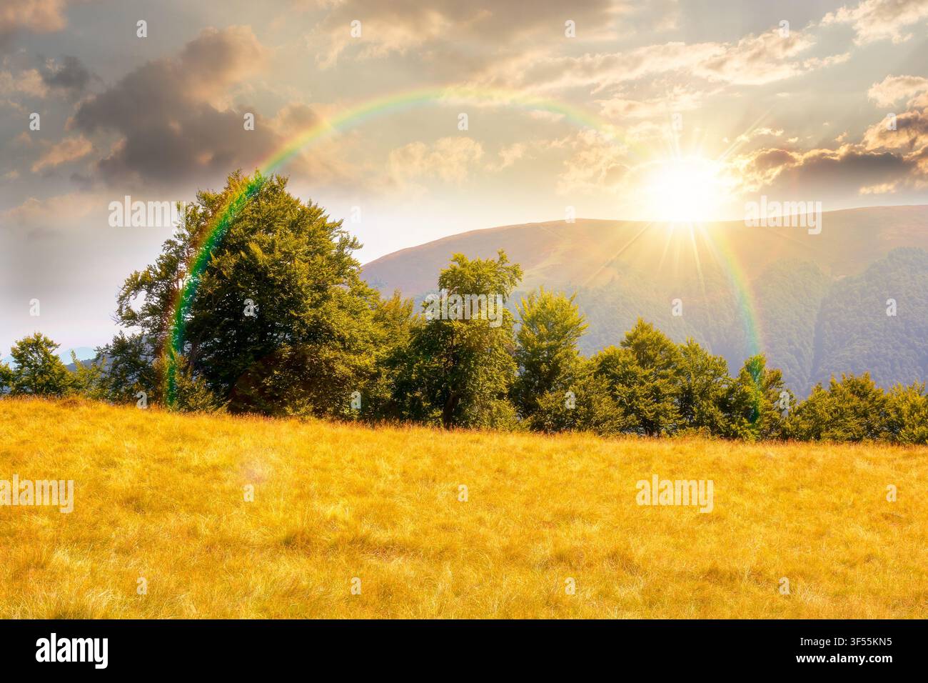 sunset over mountain landscape of ukraine. alpine grassy meadow and deciduous forest on the hill. late summer nature background for carpathian adventu Stock Photo