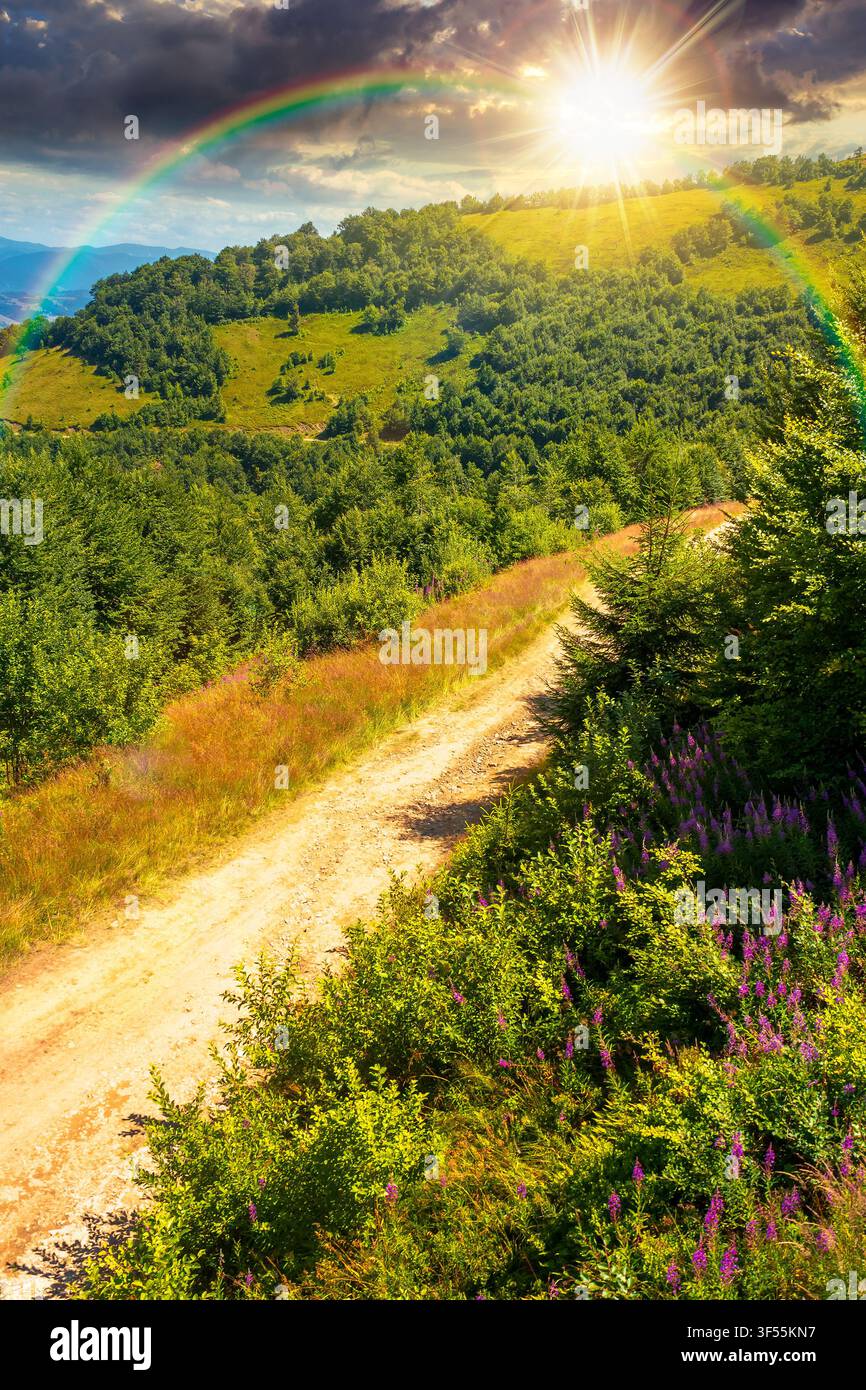 sunset over hiking path in carpathian mountains. alpine nature of transcarpathia in summer. ukraine mountain landscape for travel. views of borzhava r Stock Photo
