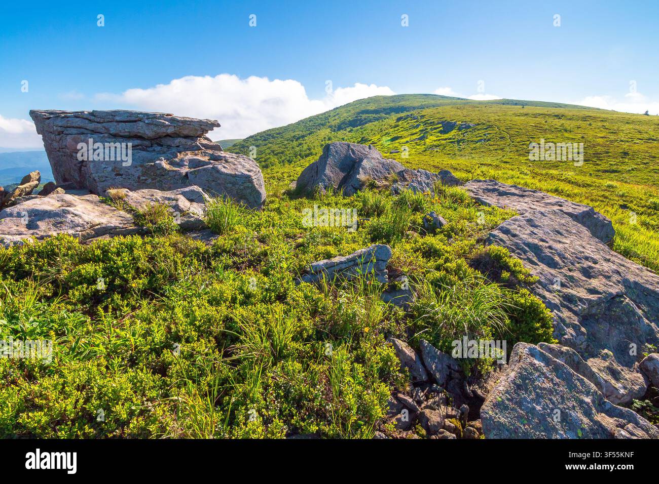 mountain landscape on a summer morning. beautiful outdoor scenery of carpathian mountains. grassy slopes with rocks. image for ukraine travel backgrou Stock Photo