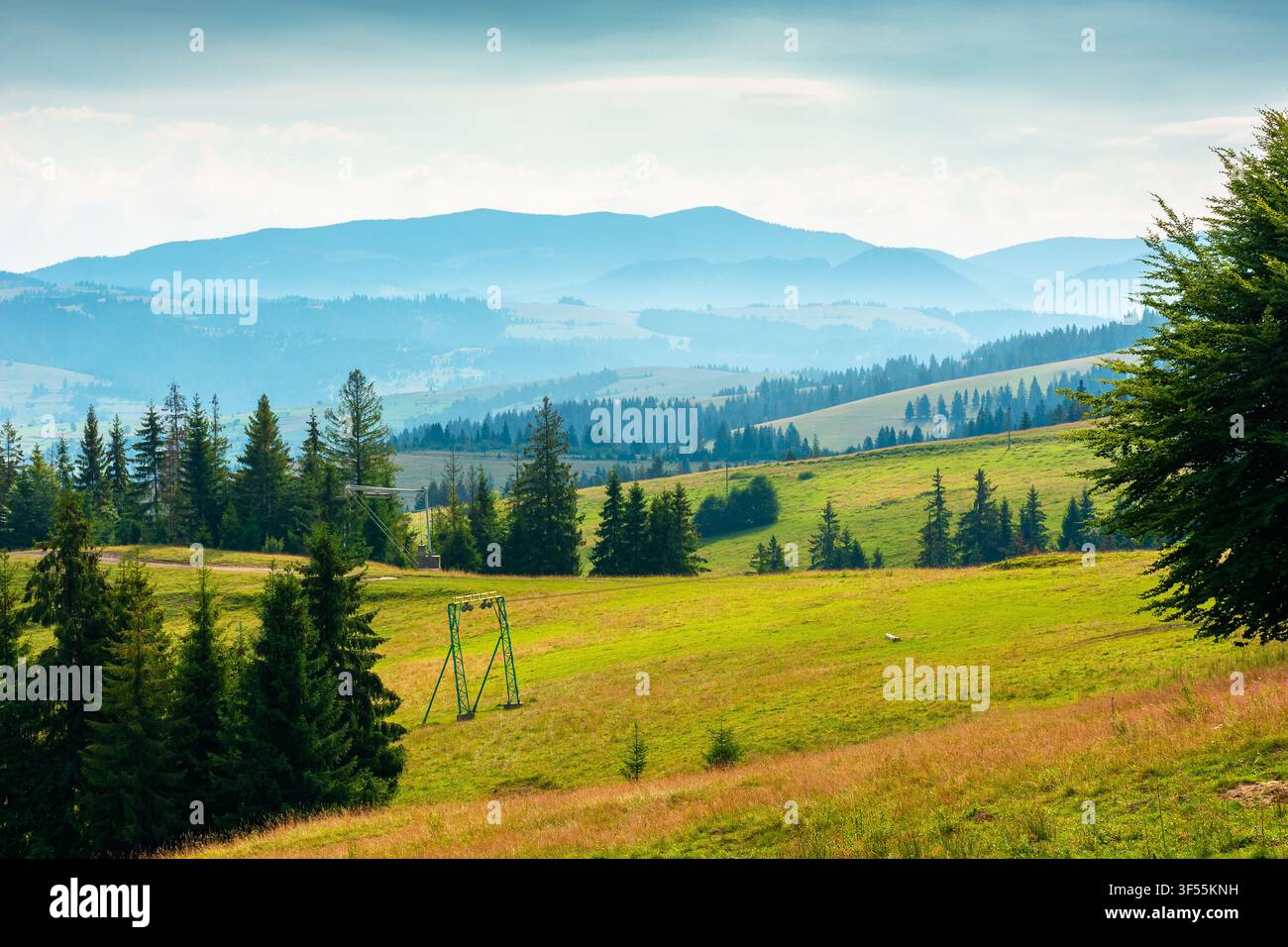 rural scene in carpathian mountain landscape. summer countryside view with rolling hills in lush green grass. forested slopes in the distance Stock Photo