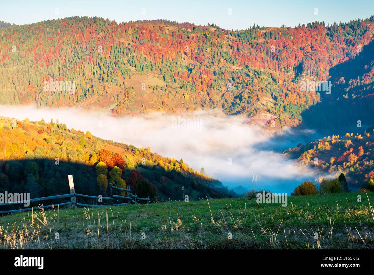 valley in morning fog. carpathian mountain landscape in autumn. scenic view of an alpine countryside in fall season Stock Photo