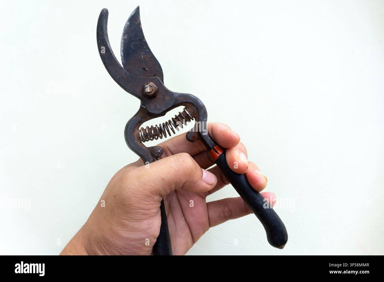 Rusty Pruning Shears Held in Hand isolated On White Stock Photo