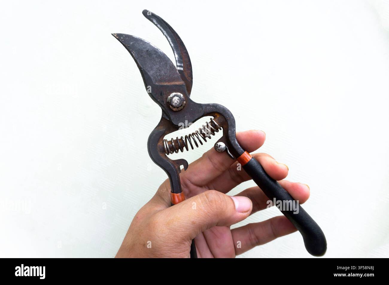 Rusty Pruning Shears Held in Hand isolated On White Stock Photo