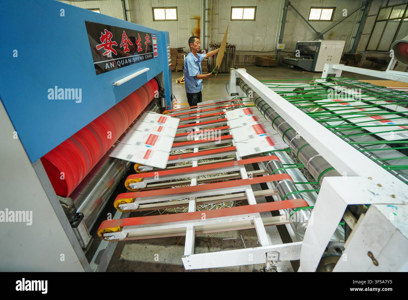 Luanan, China - July 30, 2026: Worker Feeding Paperboards into Carton Printing Machinery Stock Photo