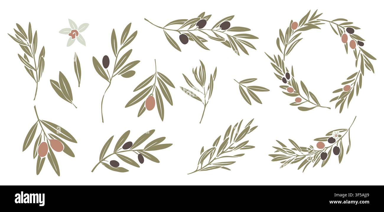 Hand-drawn olive branches with berries and leaves Stock Vector