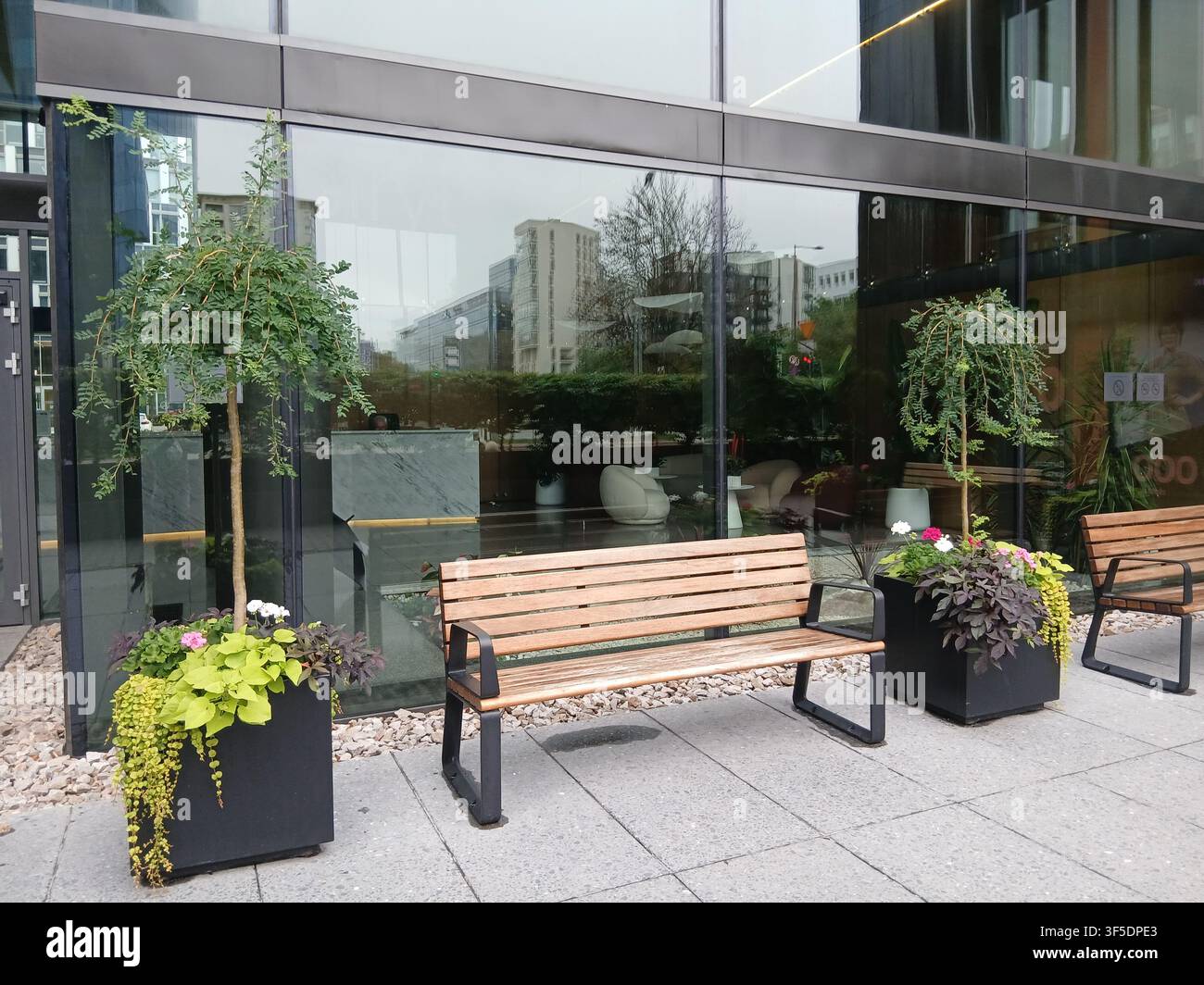 Comfortable wooden benches placed outside a modern commercial building with glass facade, surrounded by green potted plants in a city. - Smartphone Captured Stock Image