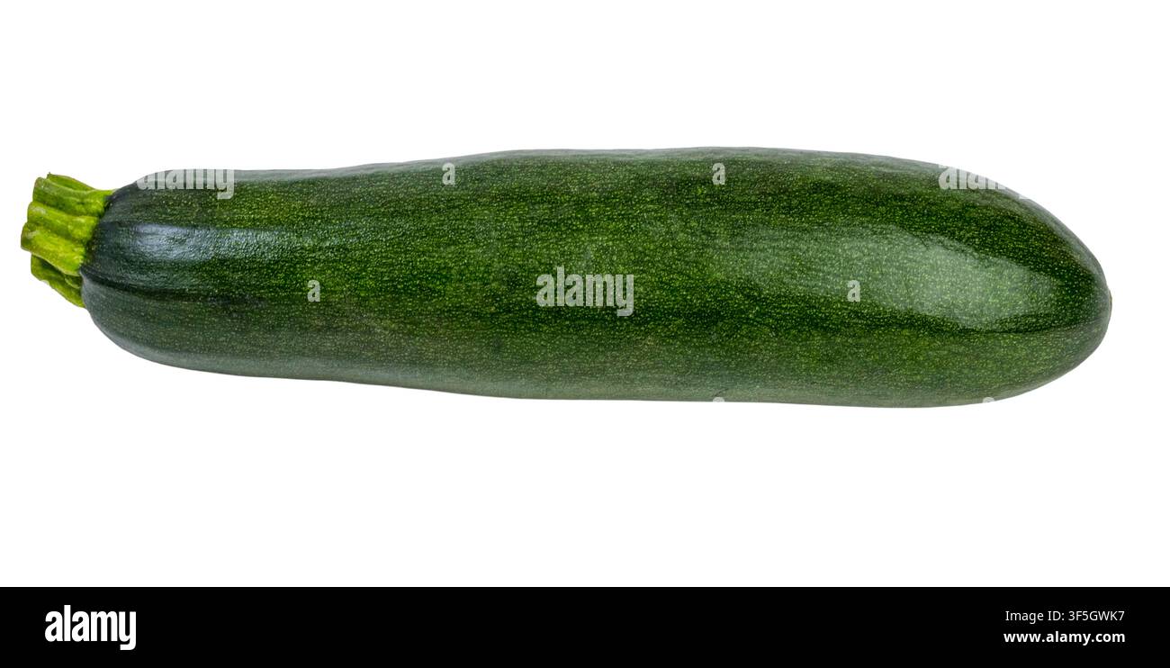 Fresh green zucchini on a white background Stock Photo
