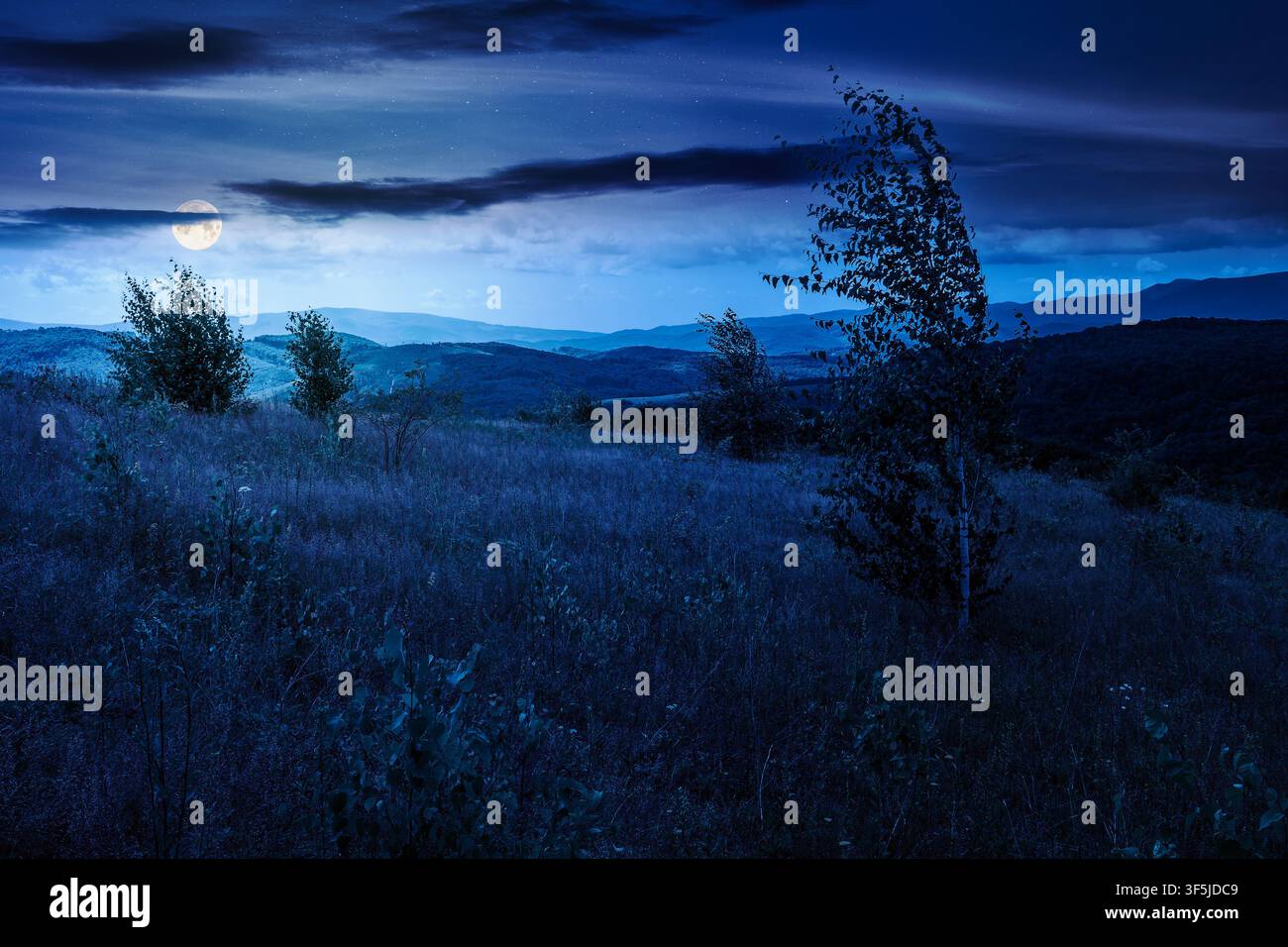 tree on a field in mountain landscape at night. full moon over green countryside of ukraine in summer. cloudy weather. carpathian landscape in dappled Stock Photo
