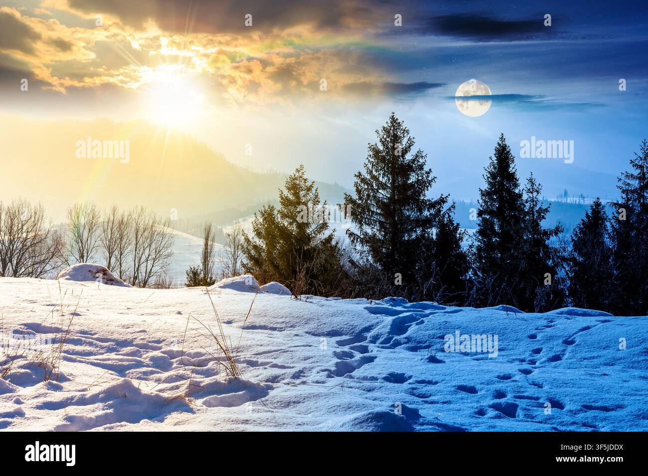 carpathian mountain landscape on winter solstice. day meet night. sun and moon over spruce forest on the snow covered hill. mountain scenery of ukrain Stock Photo