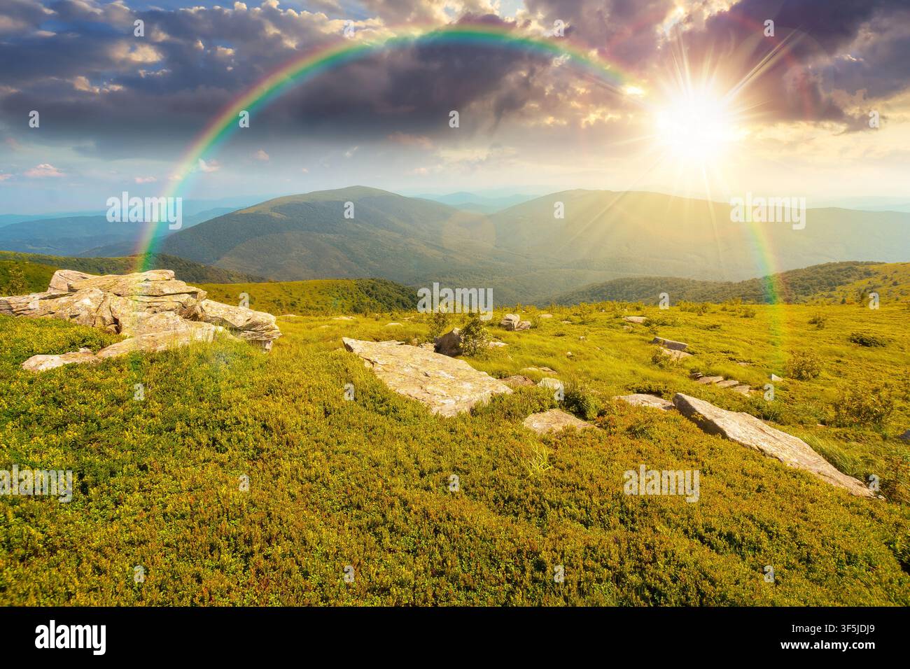 Carpathian mountain landscape in summer at sunset. scenic view of Transcarpathia region from the mnt. Smooth. alpine blueberry field with rock on the Stock Photo