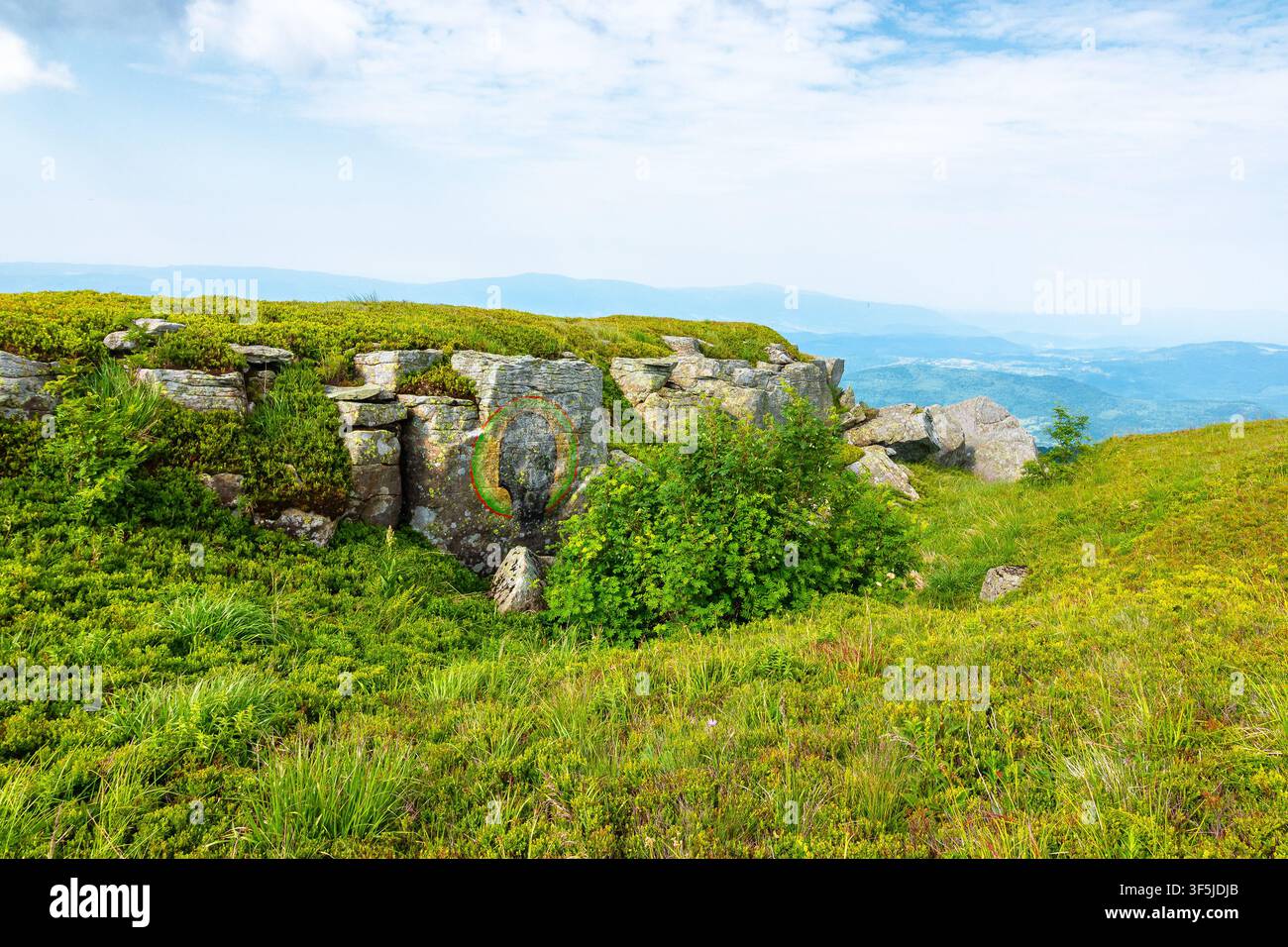 alpine meadow in summer nature. wild grass and grey rocks in carpathian landscape. mountain scenery of perechyn district, ukraine on a sunny day Stock Photo