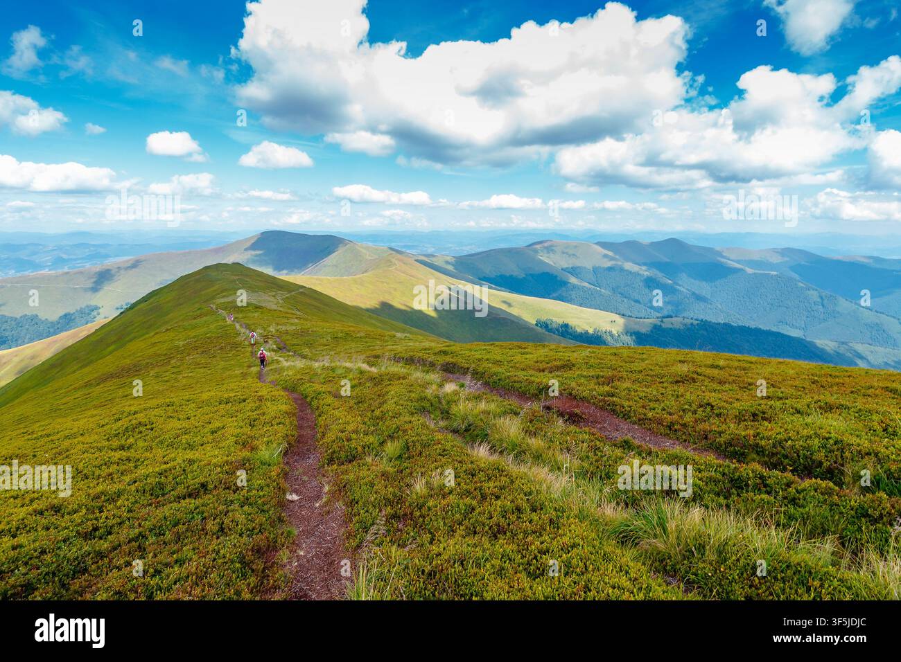 Carpathian mountain landscape in summer. scenic view of Transcarpathia region from Stiy summit. hiking trail through Borzhava range. grassy hill in da Stock Photo