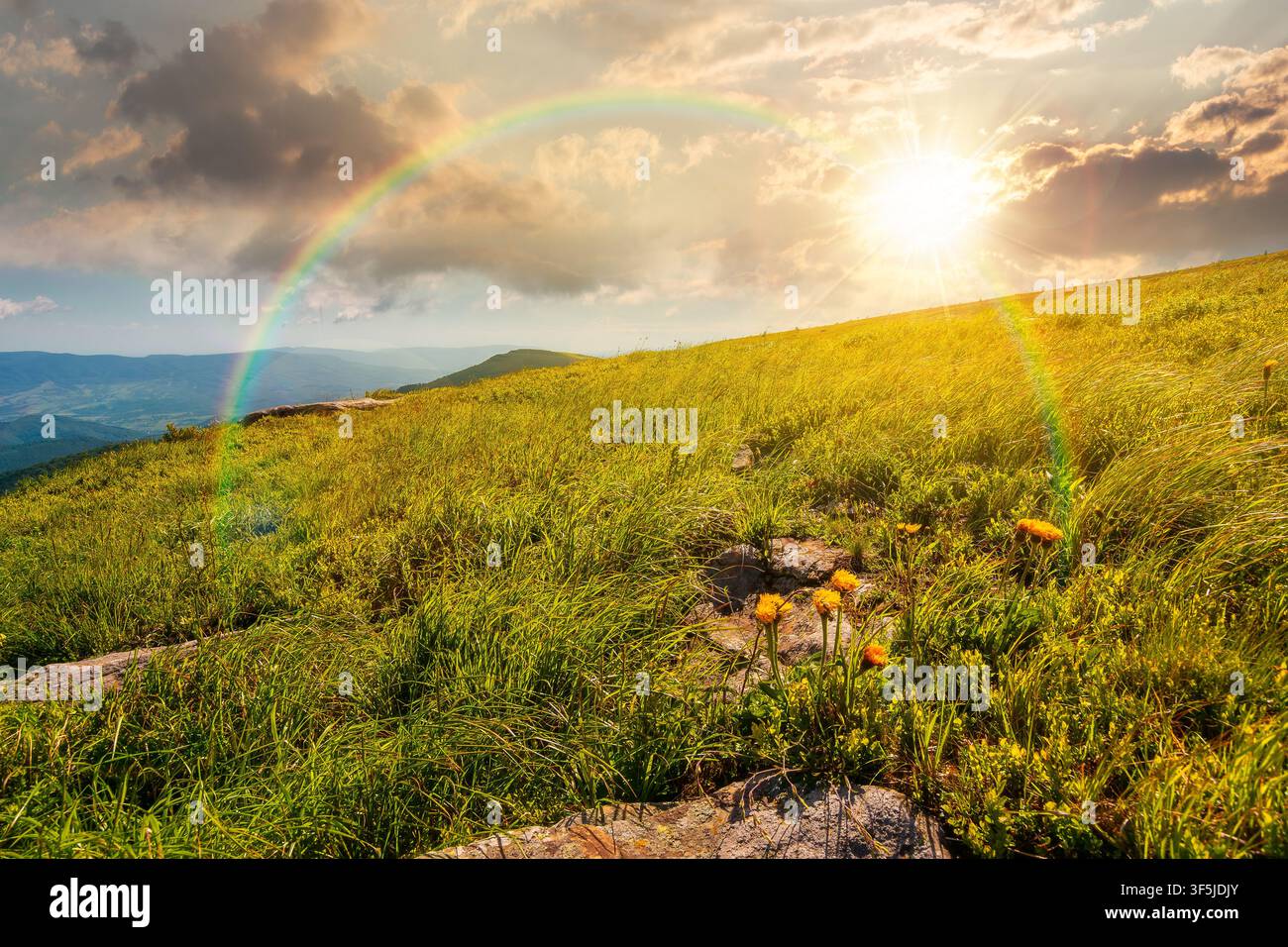 sunset over carpathian mountain landscape in summer. nice view of a grassy alpine meadow. rock and yellow herbs on the hill. sunny mountain weather wi Stock Photo