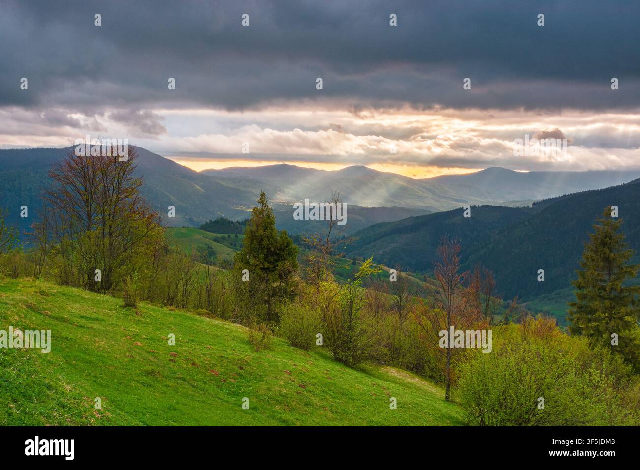 mountainous countryside scenery in the afternoon. gloomy sky view above the valley. green fields and trees on the hills. volatile nature scenery of ca Stock Photo