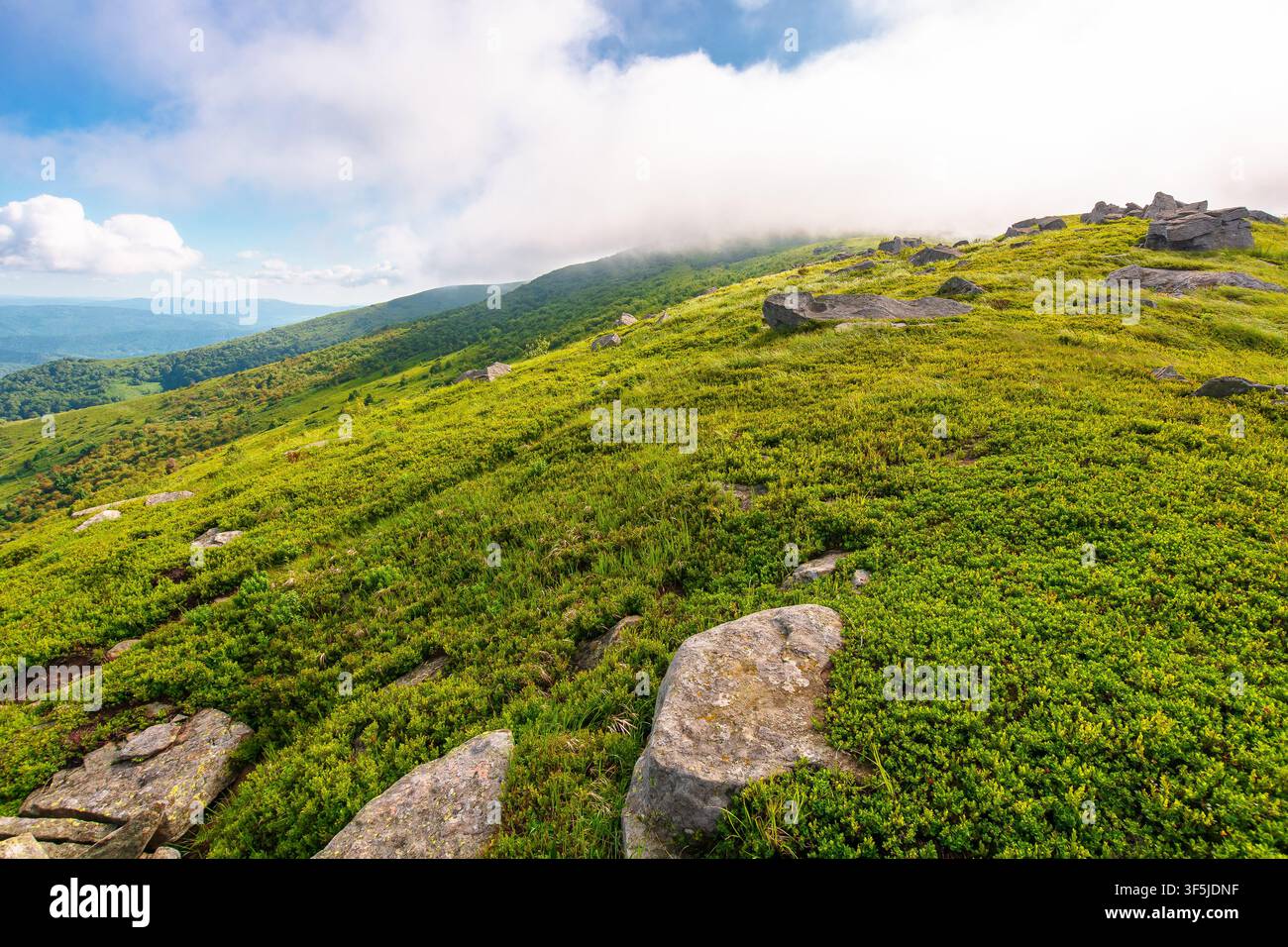nature scenery with mountain under summer sky. alpine landscape of carpathian mountain with grassy slopes. low fluffy clouds on high altitude. summer Stock Photo