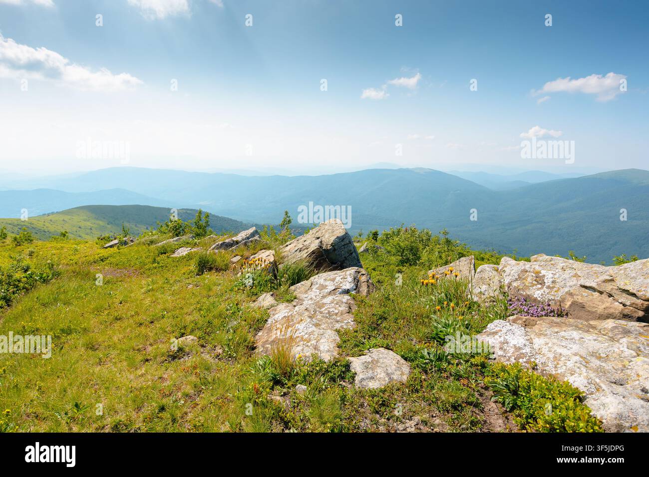 Carpathian mountain landscape in summer. scenic view of Transcarpathia region from the mnt. Smooth. alpine blueberry field with rock on the Polonyna R Stock Photo