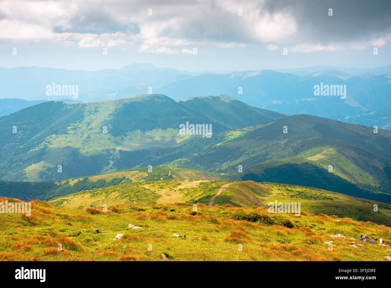 carpathian mountain landscape in august. scenic alpine terrain of ukraine in the afternoon. background image for hiking through chornohora ridge. popu Stock Photo