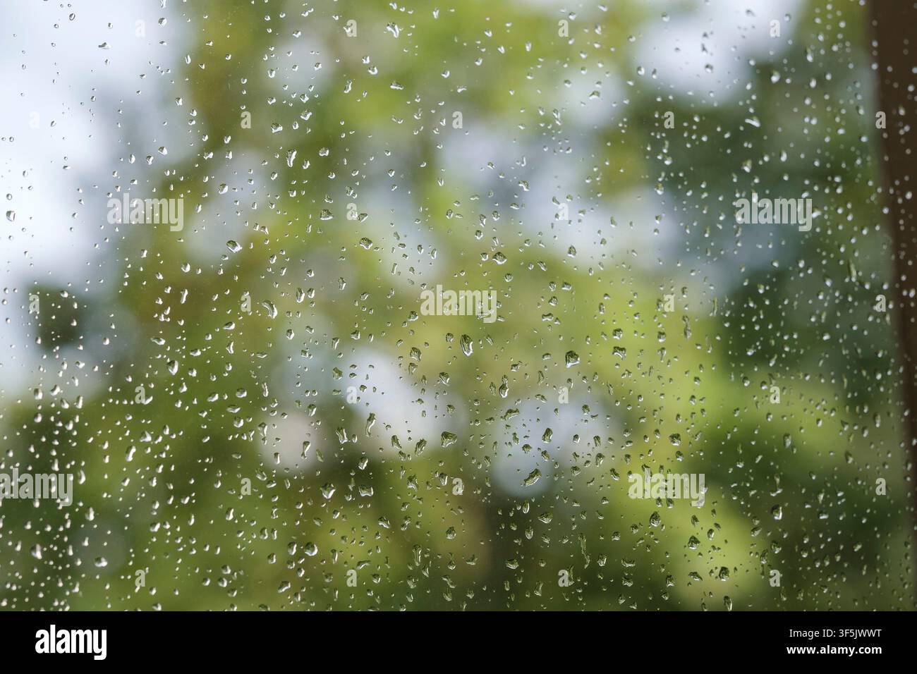 Raindrops on a window pane after a summer rain shower. Stock Photo