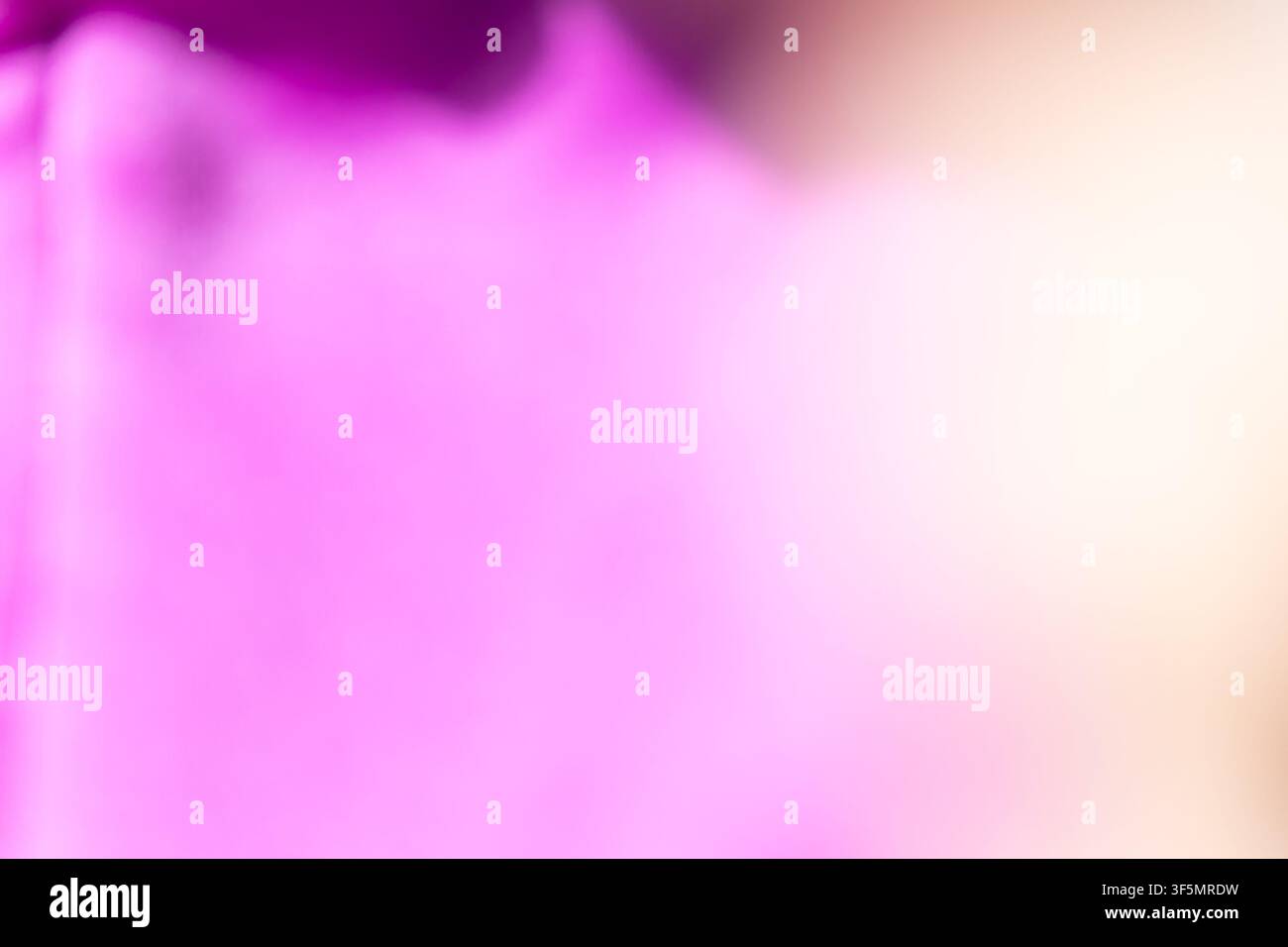 Soft Pink Gradient Background with Subtle Light Movement Stock Photo