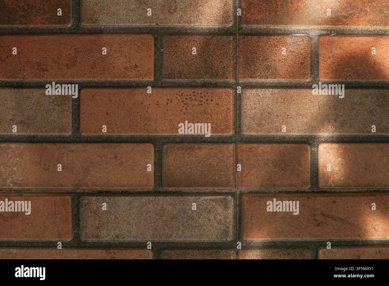 Rustic ceramic tile wall imitating brickwork with natural sunlight and leaf shadows for architectural backgrounds. Stock Photo