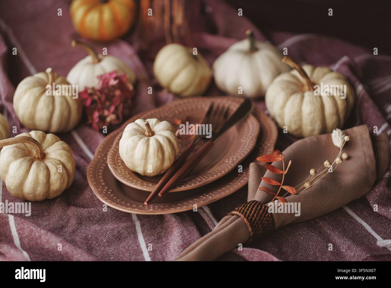 Elegant Thanksgiving table setting with pumpkins and rustic decor Stock Photo
