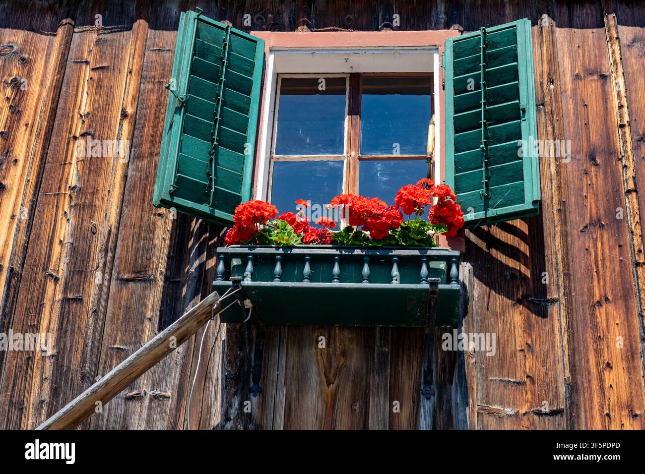 Rustic Wooden Alpine House Window with Open Green Shutters and Bright Red Flowers. Red Geranium Flowers in Pot on a Windowsill. Stock Photo