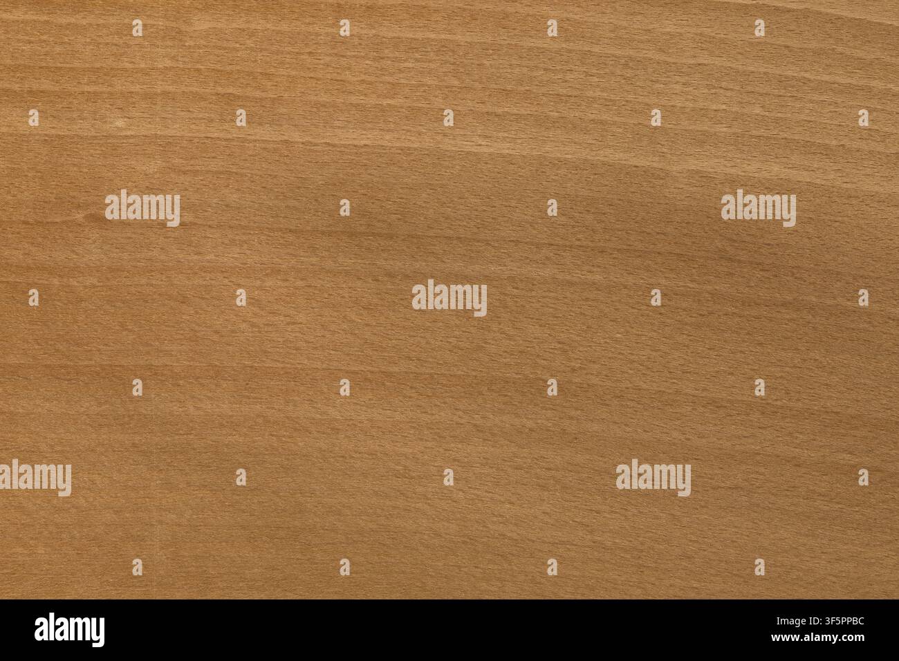 Steamed beech wood showing a natural texture Stock Photo