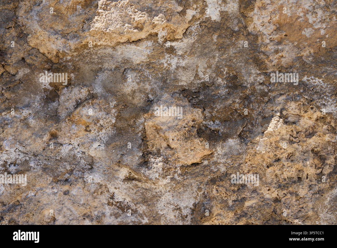 Weathered Limestone Rock Texture Background with Natural Stone Surface and Earth Tone Pattern. Stock Photo