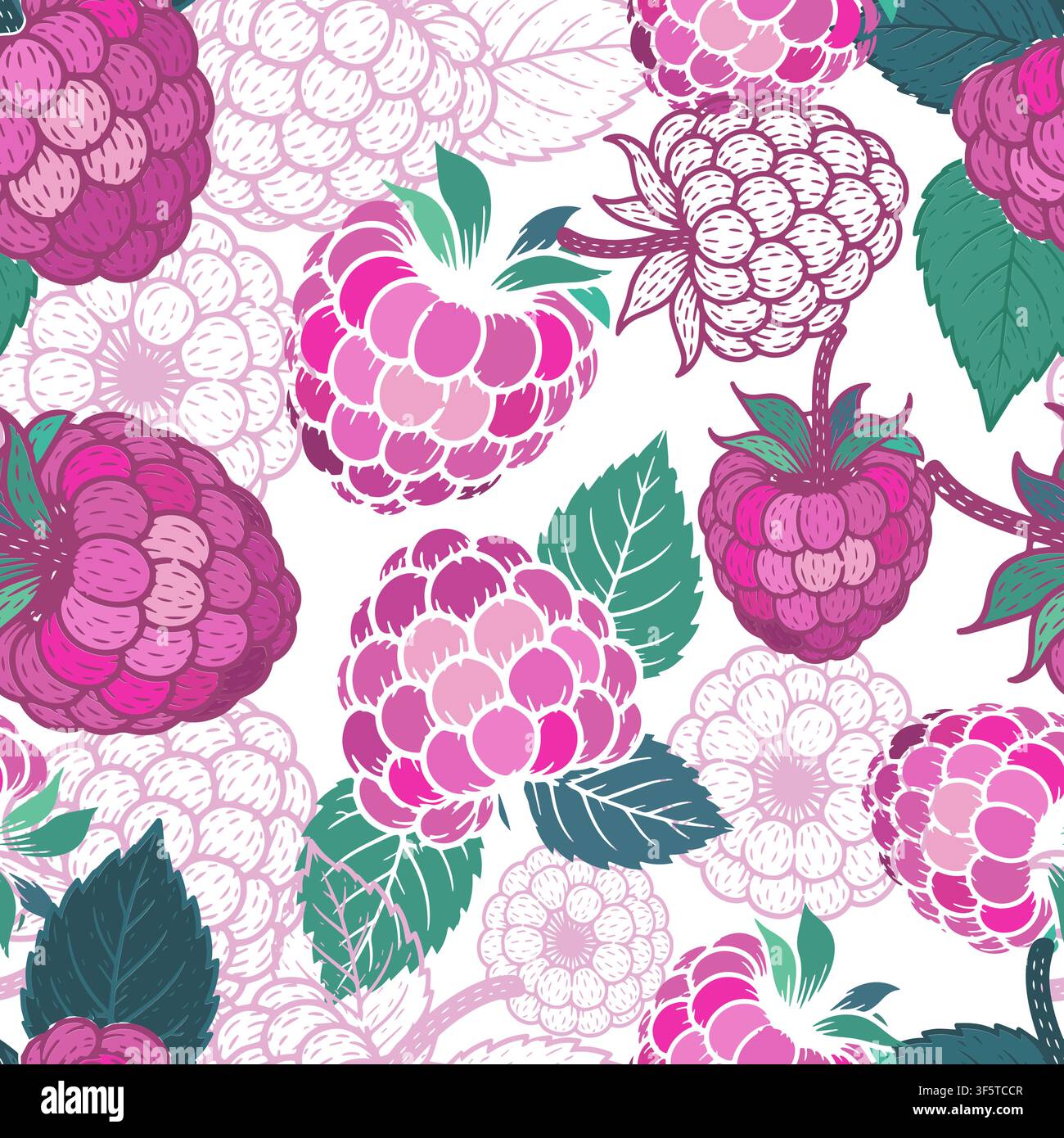 Raspberry seamless pattern . Hand drawn. Not AI, vector illustration. Stock Vector