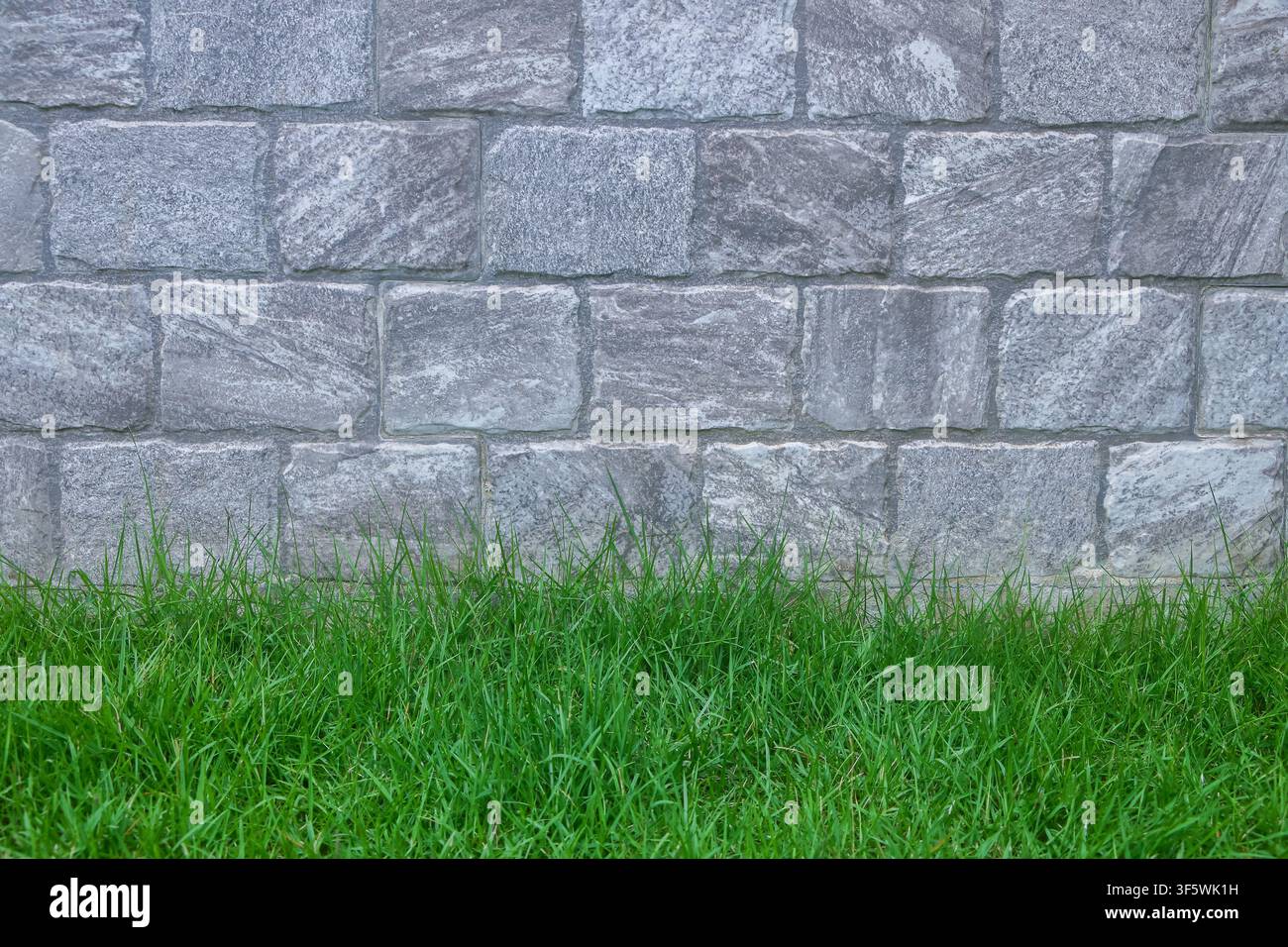 green grass with gray stone brick background. Stock Photo