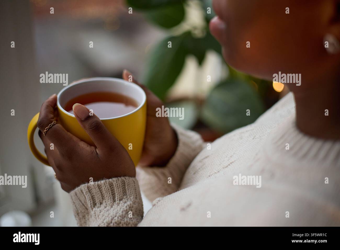 African American young woman holding mug of hot tea near window, practicing mindfulness and self care. Image suitable for mental wellbeing campaigns and lifestyle marketing, close up shot Stock Photo