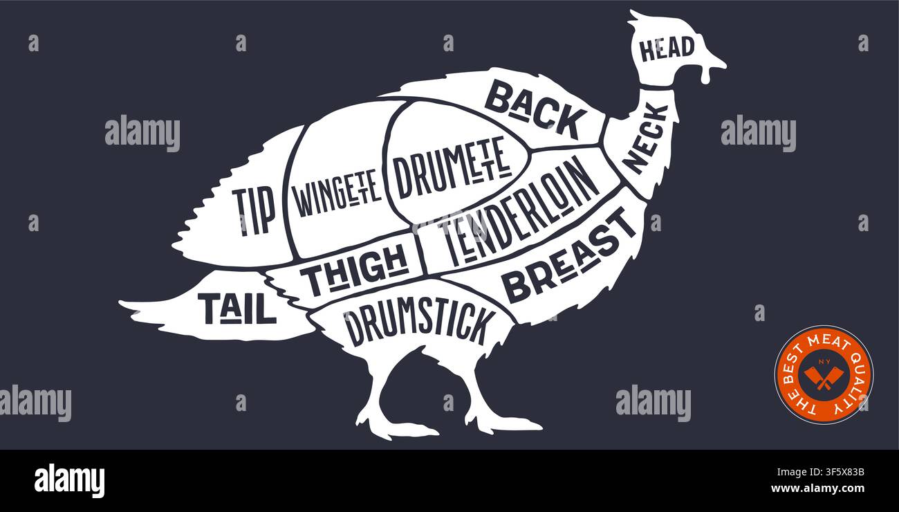 Turkey, poultry, hand-drawn butcher cuts Stock Vector