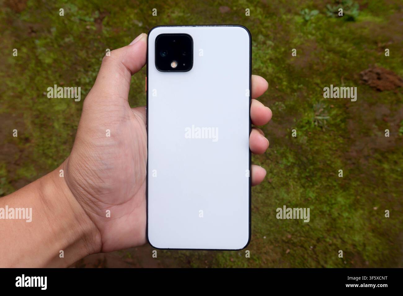 Hand Holding White Smartphone Back View Outdoors Stock Photo